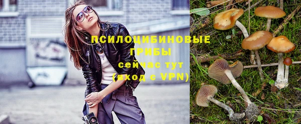 мескалин Ладушкин