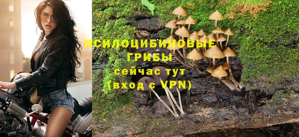 СК Куйбышев