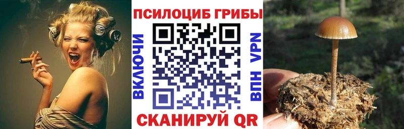 Купить  Заринск  Псилоцибиновые грибы прущие грибы 